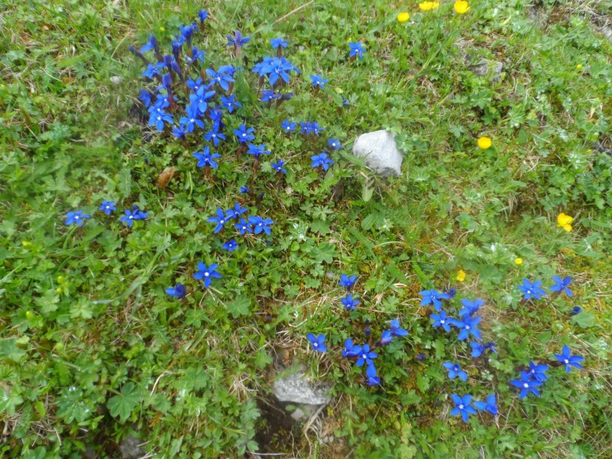 Haus Am Wiesenrain 로이타쉬 외부 사진